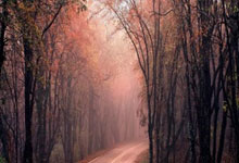 196体育：官方：迭戈-科斯塔与米内罗竞技解约 下一战未知.