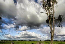 196体育：官方：迭戈-科斯塔与米内罗竞技解约 下一战未知.