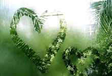 196体育：卡bug遭取消资格，文班亚马：有人嘘我吗？没有人，是在嘘保罗.