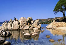 196体育：籃網主帥稱西蒙斯天天努力 投籃能力值得信賴.